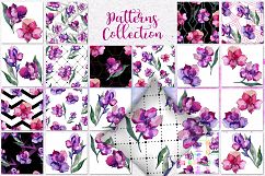 Purple Alstroemeria PNG watercolor set Product Image 8