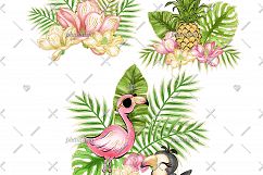 Flamingo &amp; Toucan Cliparts Product Image 7