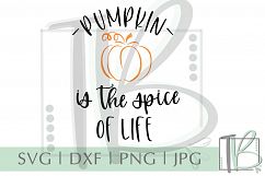 Pumpkin is the Spice of Life SVG Product Image 1