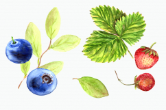 Watercolor Berries Clip Art Set Product Image 3