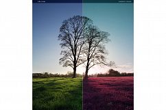 Cherry Fields Action Product Image 2