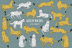 Leopards Product Image 1