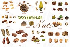 Nuts clip art pack, Watercolor nuts chart, food print Product Image 1