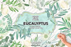 Watercolor Eucalyptus Leaves Product Image 1