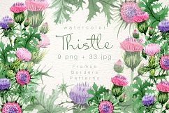 Cool Thistle PNG watercolor set Product Image 1