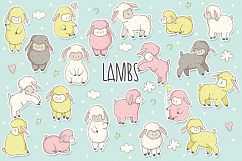 Lambs Product Image 1