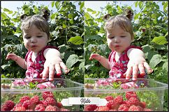 Vacation Photos Fix profiles LR 7.3 ACR 10.3 Product Image 4