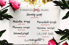 Watercolor Logo Kit + 8 Fonts! Product Image 2