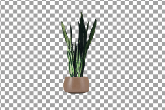 Leafy plants clip art collection, Watercolor plants in pot Product Image 13