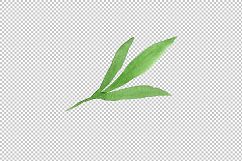 Crimson Peonies PNG watercolor set Product Image 13