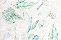 Bianca Watercolor Design Set Product Image 2