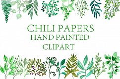 Watercolor Branches clipart Product Image 2