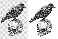 Crow on Skull Product Image 3