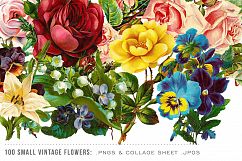 100 Small Vintage Flower Graphics Product Image 2