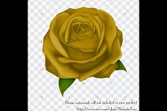 100 Luxury Rose Clip Arts, Wedding, Mother Day, Valentine Product Image 5