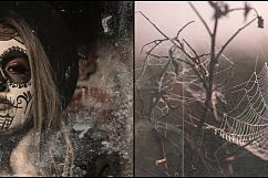 1260 Halloween Photo Overlays Product Image 12