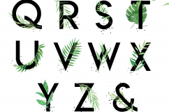 Tropical GREEN Wave Product Image 7