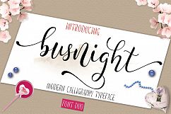 Busnight Font Duo Product Image 1