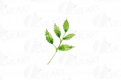 Watercolor Red and Burgundy Roses and leafs clip art pack Product Image 17