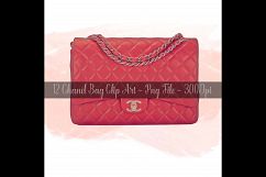 12 Painted Separated Luxury Bag Clip Arts, Fashion Clip Arts Product Image 10