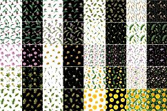 Plants of Scotland. Watercolor Product Image 2