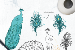 Fancy Peacock Collection Product Image 4
