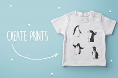 Penguins Product Image 3