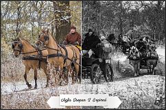 AGFA B&amp;W Films Profiles LR 7.3 ACR 10.3 Product Image 17