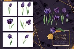 Wonderful black tulips PNG watercolor flower set Product Image 5