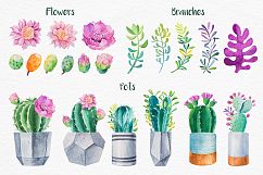 Cactus. Watercolor illustrations. Product Image 6