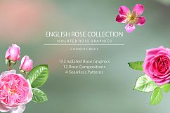Isolated Rose Bundle  Product Image 8