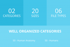 100 Humans &amp; Anatomy Filled Low Poly Icons Product Image 3