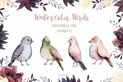Spring birds Big watercolor clipart Product Image 4