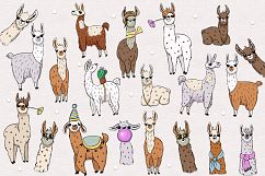 Llamas 2 Product Image 2