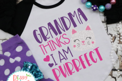 Grandma thinks I am Purrfect Product Image 2