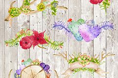Succulents &amp; Cactuses Product Image 4