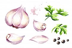 Garlic. Watercolor collection Product Image 2