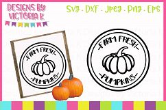 Farm fresh pumpkins stamp style design, Fall, SVG, DXF, PNG Product Image 1