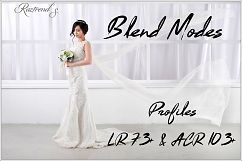 Blend Modes Profiles LR7.3 ACR10.3 Product Image 1