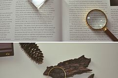 Naturalist: Set of Unique Mock-Ups Product Image 4