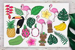 Tropics forever! Vector set Product Image 5