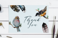 Birds And Feathers Hand Painted Watercolor Clip Art Set Product Image 6