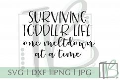 Surviving Toddler Life One Meltdown at a Time SVG Product Image 2