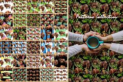 Exotic bison wild animal PNG watercolor set Product Image 2