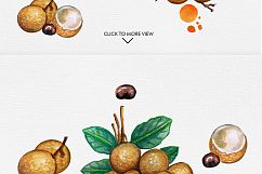 Watercolor Fruits Vol. 5 Product Image 2