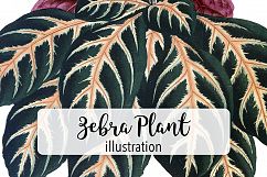 Leaves - Vintage Zebra Plant Product Image 1