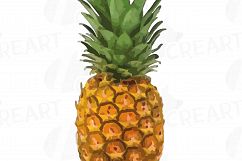Watercolor Pineapple clip art pack, watercolor ananas clip art exotic fruit, Printable png, pdf, jpg, svg, eps and vector files included. Product Image 4