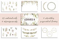 3 in 1 - All About Leaves Bundle Product Image 3