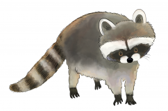 Magical Woodland -11 illustrations|animals and elements Product Image 6