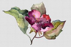 Pink and blue gardenia flowers PNG watercolor set   Product Image 2